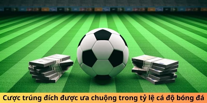 Cược trúng đích được ưa chuộng trong tỷ lệ cá độ bóng đá